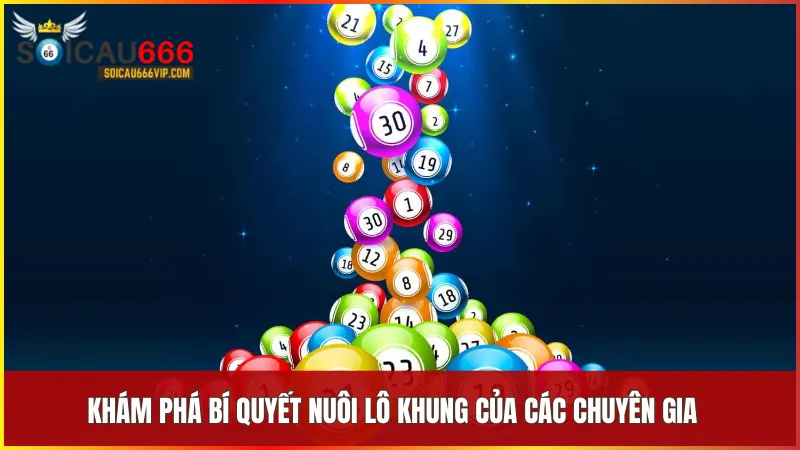 Các chuyên gia lô đề thường lựa chọn khung thời gian hợp lý và tính toán xác suất trước khi nuôi số.