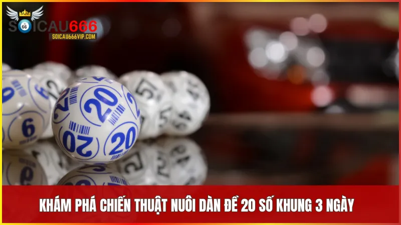 Chiến thuật nuôi dàn 20 số trong 3 ngày giúp tăng hiệu quả dự đoán và kiểm soát nguồn vốn