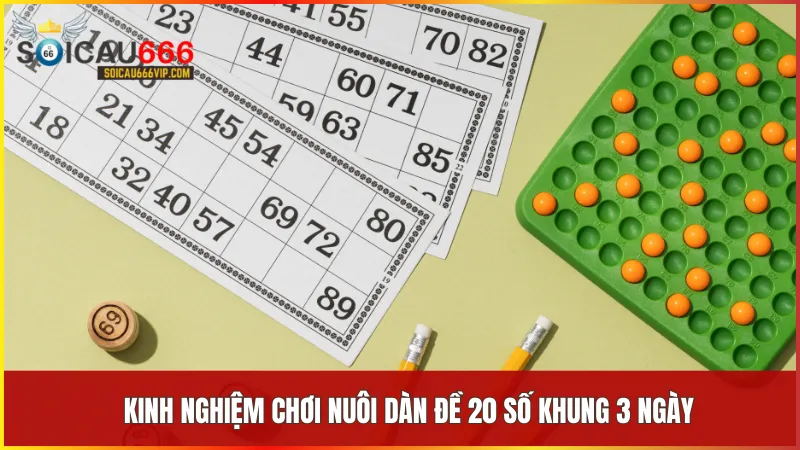 Áp dụng kinh nghiệm thực tế từ người chơi lâu năm giúp tân thủ tránh rủi ro không đáng có