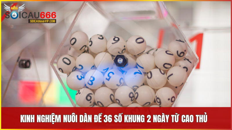 Cao thủ luôn giữ kỷ luật phân tích kỹ càng và kiên trì với một dàn số ổn định qua từng chu kỳ