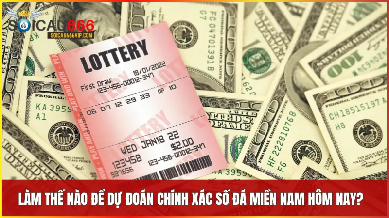 Số đá miền Nam là gì? Hướng dẫn cách chơi và cách tính tiền số đá miền Nam 8 Dự đoán hiệu quả dựa trên thống kê lịch sử kết quả xổ số soi cầu và xác suất thống kê để chọn số chính xác hơn.