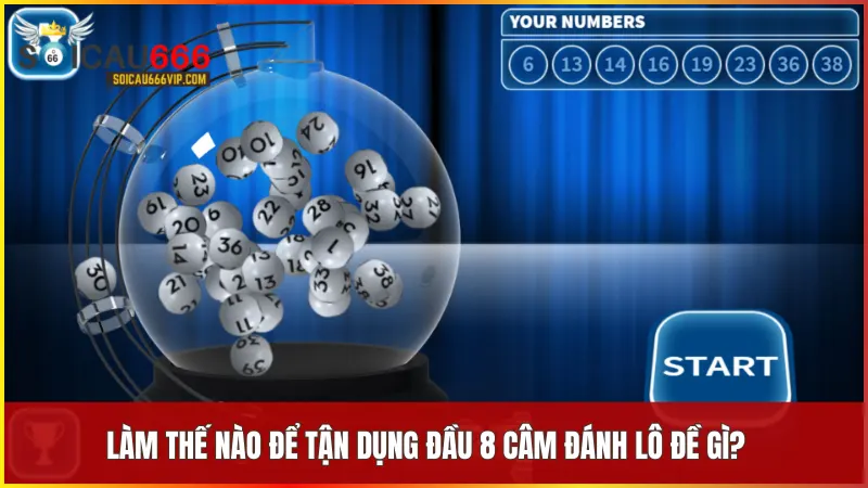 Tận dụng Đầu 8 câm đánh lô đề gì để tăng cơ hội chiến thắng 5 Tập hợp các phương pháp phổ biến giúp người chơi biến đầu 8 câm thành lợi thế trong đặt cược