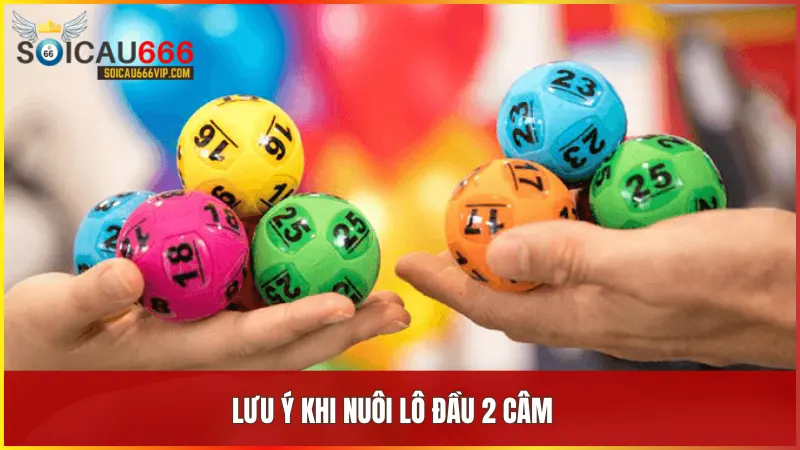 Đầu 2 câm đánh lô đề gì? Gợi Ý mẹo nuôi lô chuẩn mới nhất 2024 6 Chọn đúng thời gian nuôi từ 3 đến 5 ngày giúp đảm bảo an toàn tài chính và tăng hiệu quả khi chơi đầu 2 câm
