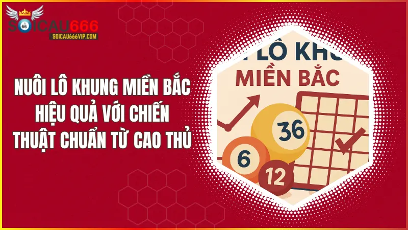 Tiết lộ kỹ năng nuôi lô khung miền Bắc chuyên nghiệp