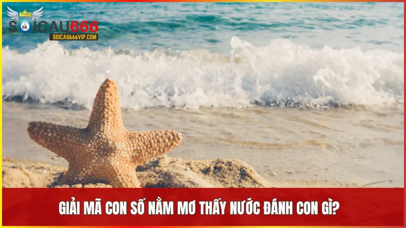 Mơ thấy nước là điềm gì? Giải mã chi tiết từ A đến Z tại Soi Cầu Vip 666 8 Bảng số may mắn tương ứng với các tình huống mơ thấy nước được tổng hợp tại Soi Cầu Vip 666