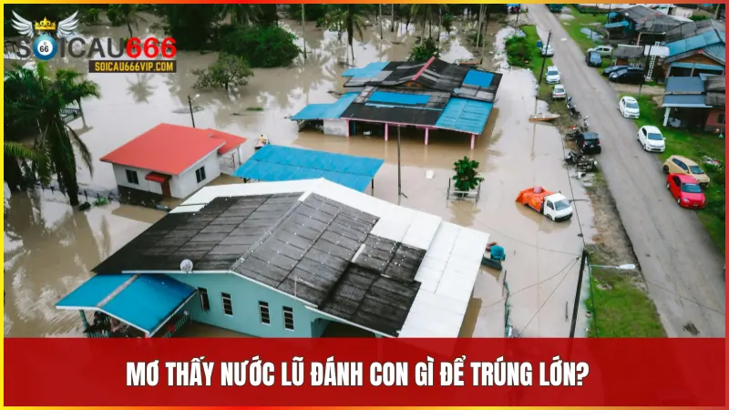 Mơ thấy nước lũ là điềm báo gì? Giải mã giấc mơ đầy bí ẩn tại soicau666 8 Từ giấc mơ nước lũ có thể chọn ra những con số may mắn để thử vận hội tại soicau666