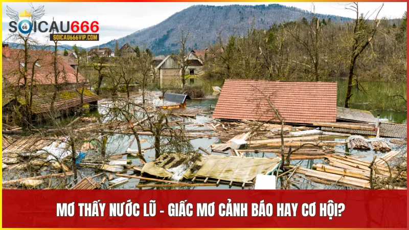 Mơ thấy nước lũ là điềm báo gì? Giải mã giấc mơ đầy bí ẩn tại soicau666 6 Giấc mơ nước lũ có thể là trở ngại nhưng cũng có thể là động lực để bạn tiến xa hơn trong cuộc sống