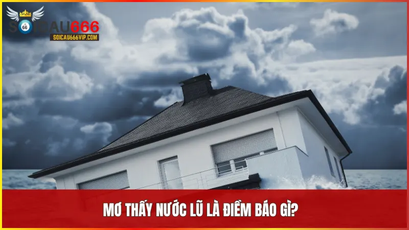 Mơ thấy nước lũ là điềm báo gì? Giải mã giấc mơ đầy bí ẩn tại soicau666 5 Giấc mơ nước lũ là lời cảnh tỉnh về những cảm xúc dâng trào và sự chuyển mình từ sâu bên trong con người