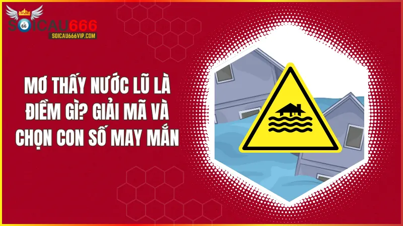Mơ thấy nước lũ là điềm báo gì? Giải mã giấc mơ đầy bí ẩn tại soicau666