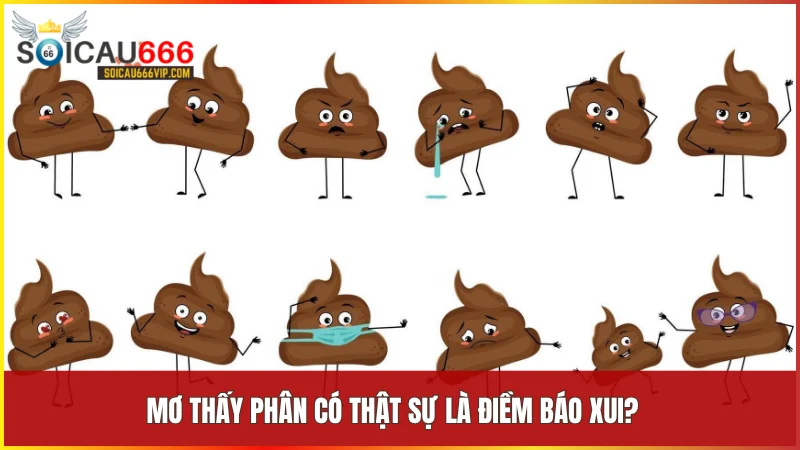 Giấc mơ thấy phân thường mang đến điềm báo về tài lộc bất ngờ và những cơ hội trong cuộc sống