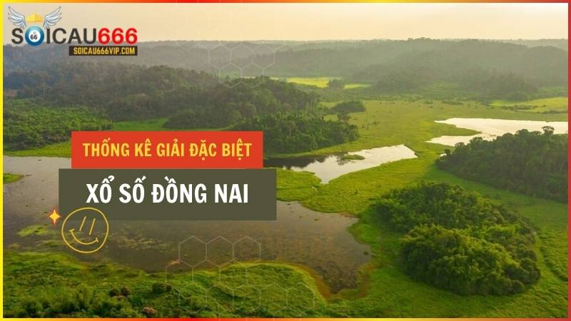 Thống kê giải đặc biệt XSDN – Thống kê giải đặc biệt xổ số Đồng Nai