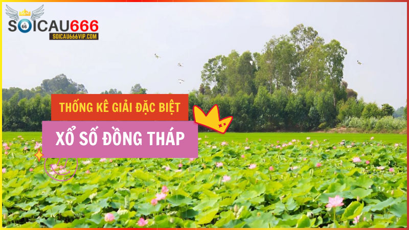 Thống kê giải đặc biệt XSDT – Thống kê giải đặc biệt xổ số Đồng Tháp